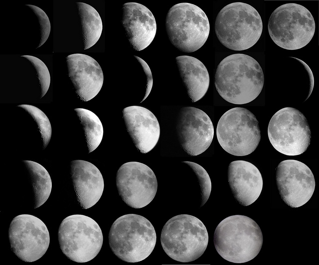 Phases of Moon