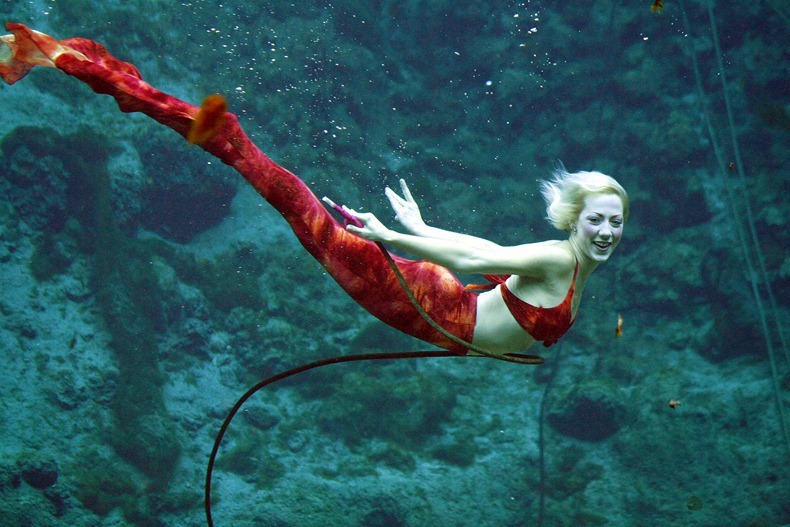 weeki wachee mermaids, Photo credit:Weeki Wachee Springs State Park,amusingplanet.com