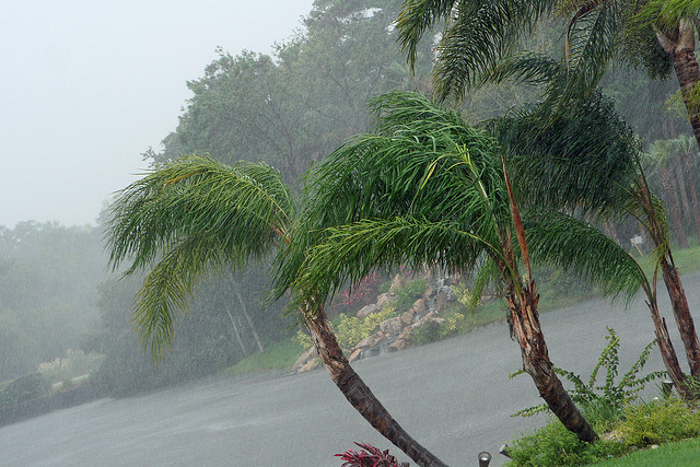 Tropical storm Issac