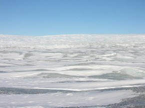 Antarctic is the largest desert in the world