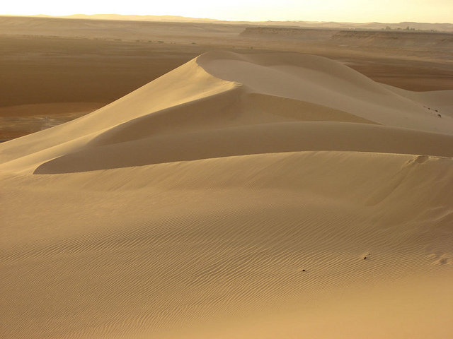 A sand dune