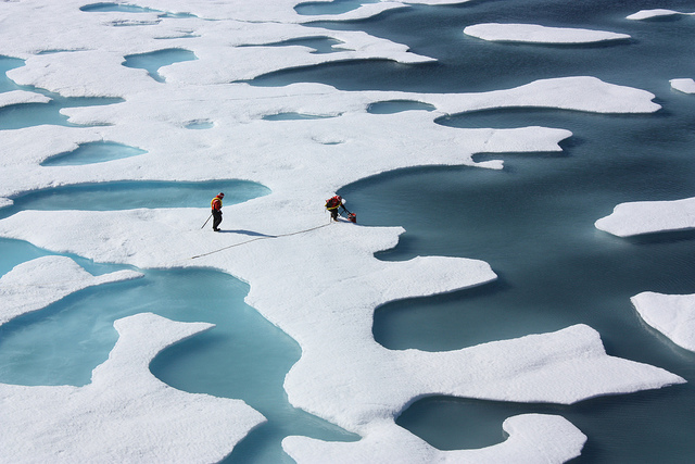 Disappearing Arctic Ice
