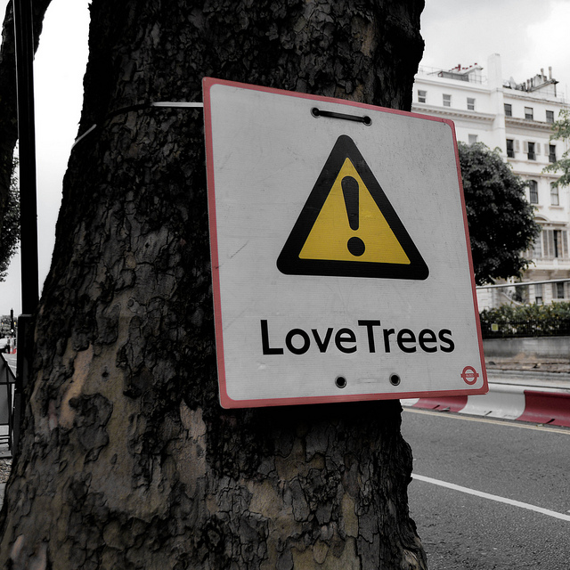 Love trees