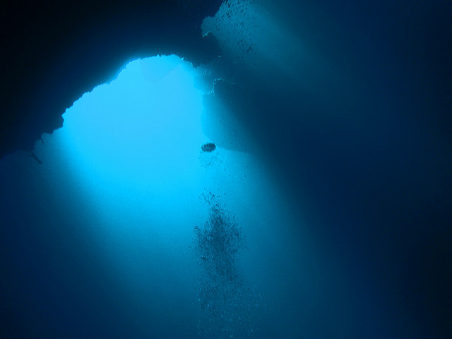 Life Exists In Deepest Ocean