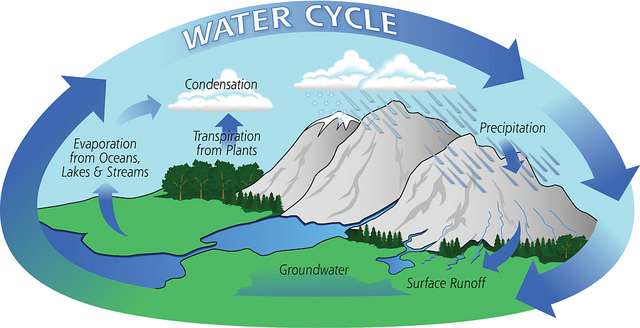 Water Cycle Facts For Kids Science Kinooze