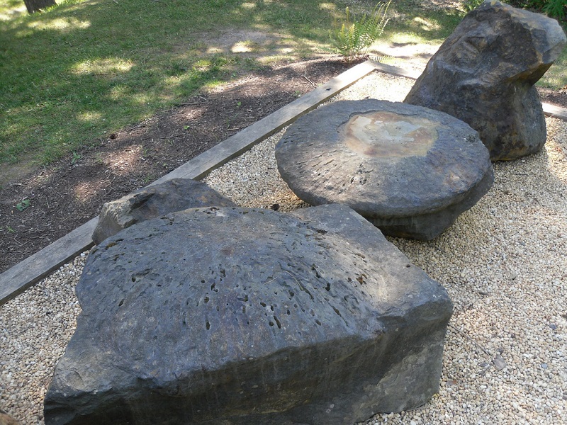 Gilboa Fossils