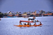 Floating Doctors in Kashmir’s Dal Lake