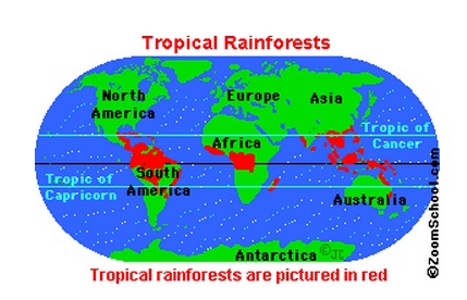rainforest-map