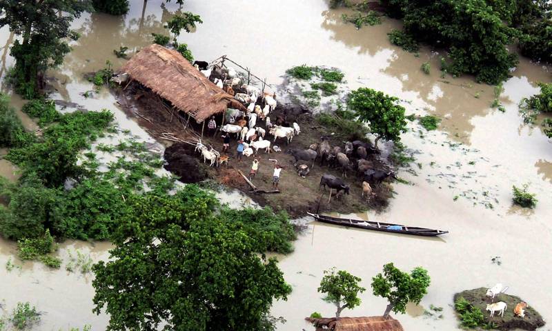 Destruct by Floods in Assam, Photo Credit:www.news.outlookindia.com