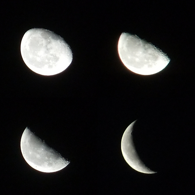 Different Phases of the Moon