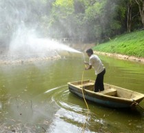 cleaning of Bangalore lakes