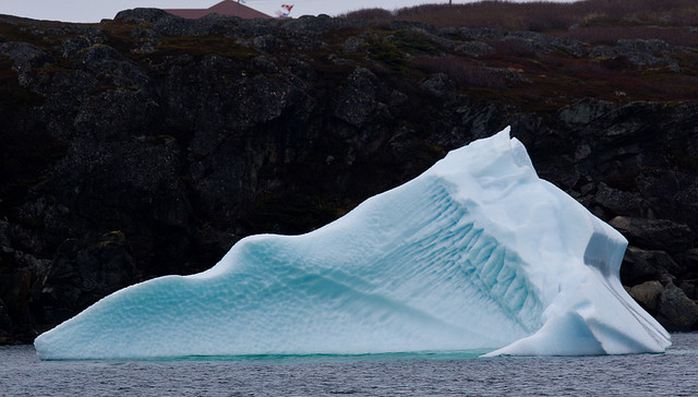 Iceberg