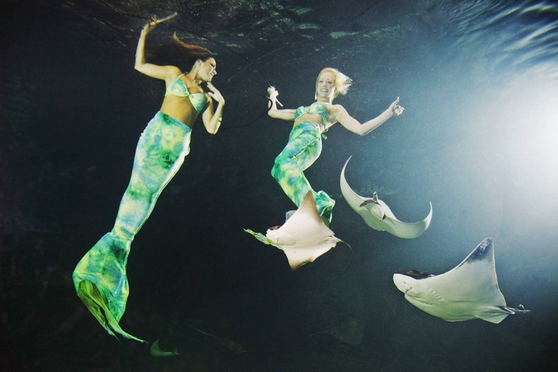 weeki wachee mermaids:Photo credit Ripley's Believe It Or Not!, amusingplanet.com