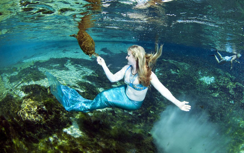 weeki wachee mermaids:Photo credit:www.telegraph.co.uk