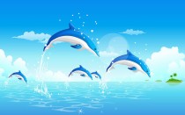 dolphins - they swim like fish