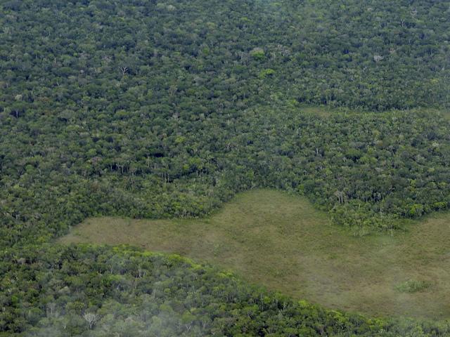 Deforestation drops down in Brazil Rainforests
