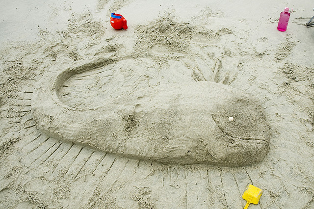 Whale on the beach