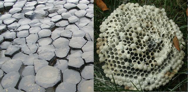 Giant's Causeway vs Honeycomb