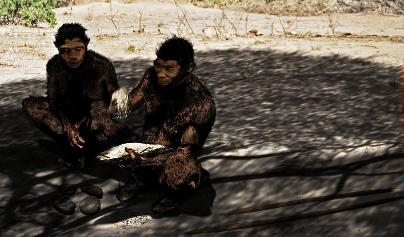 Homo_erectus - the second kind that had a bit of linguistic skills.