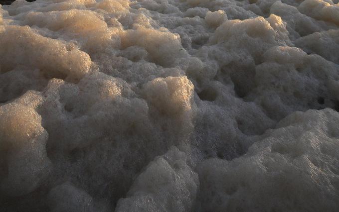 froth suds