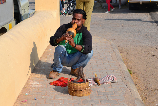 Snake charming