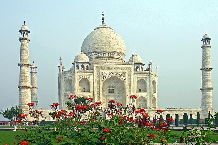 What is Turning Taj Mahal Yellow?