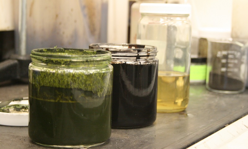 Progression of Algae slurry to refined bio-crude aka diesel fuel