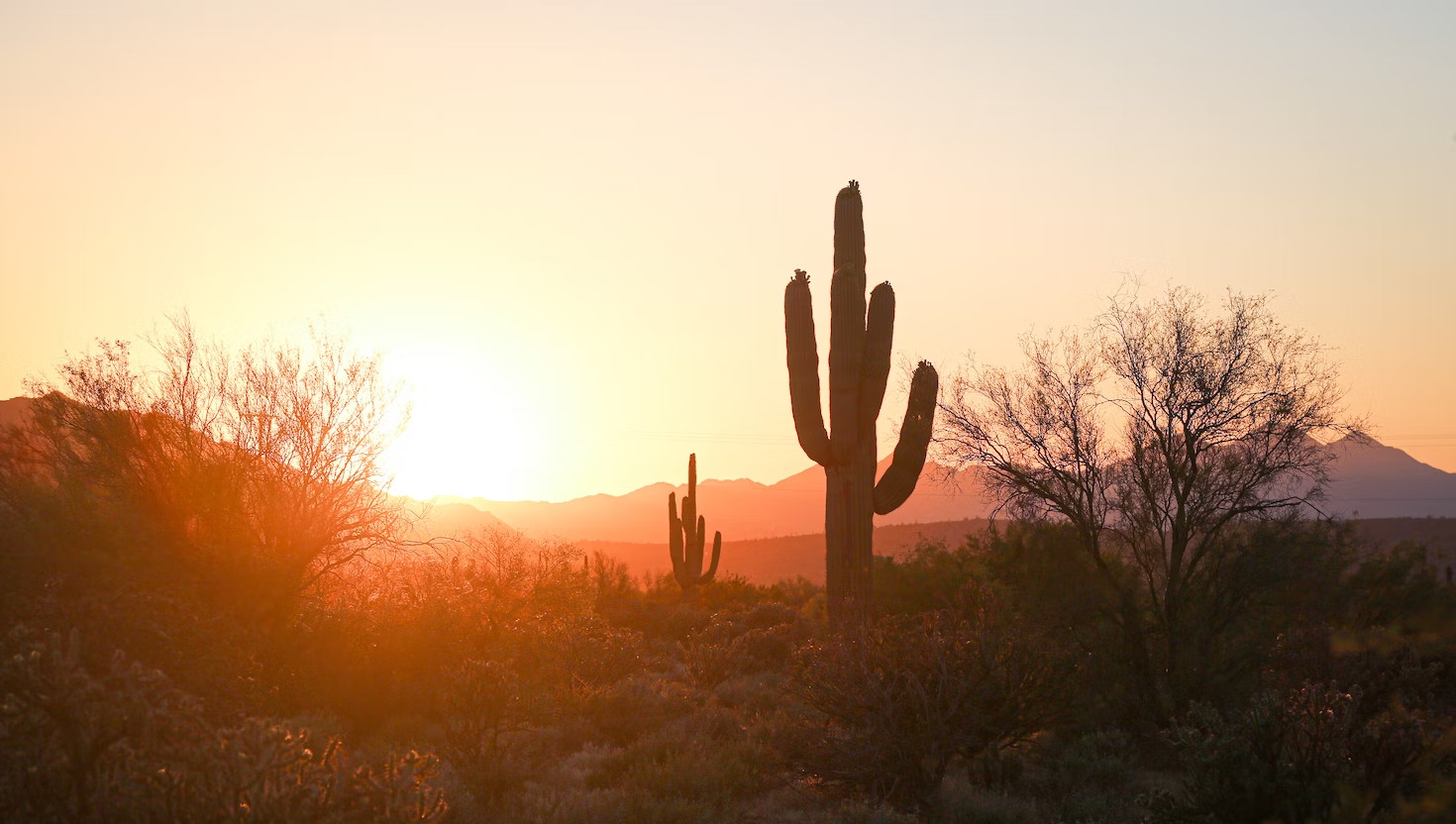 Awesome Arizona Desert